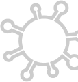 virus